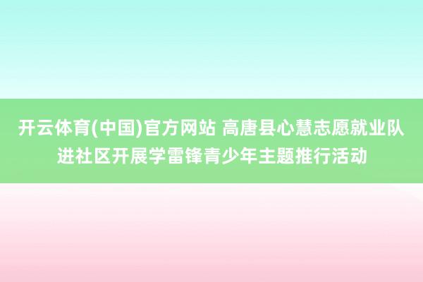 开云体育(中国)官方网站 高唐县心慧志愿就业队进社区开展学雷锋青少年主题推行活动
