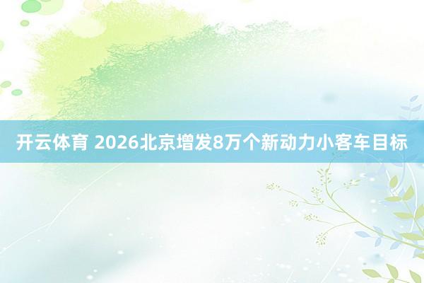 开云体育 2026北京增发8万个新动力小客车目标