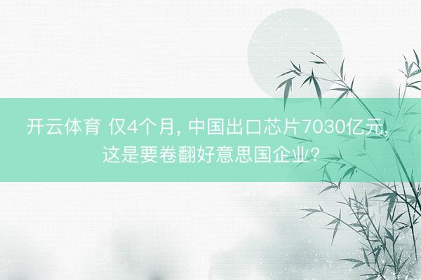 开云体育 仅4个月， 中国出口芯片7030亿元， 这是要卷翻好意思国企业?