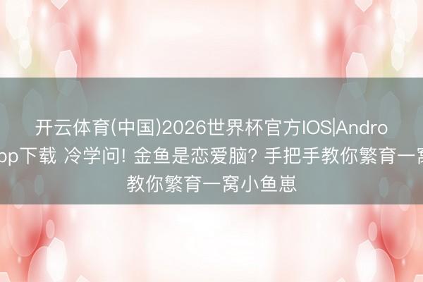 开云体育(中国)2026世界杯官方IOS|Android手机app下载 冷学问! 金鱼是恋爱脑? 手把手教你繁育一窝小鱼崽