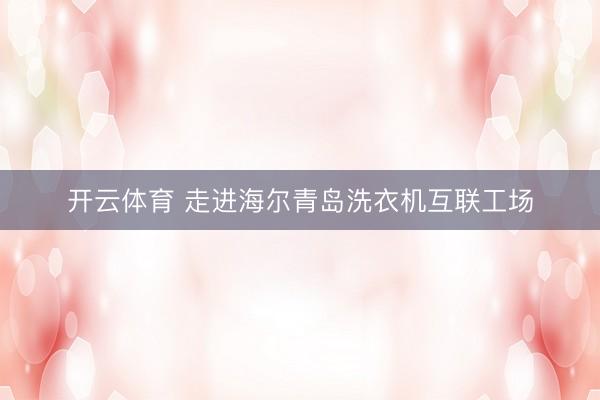 开云体育 走进海尔青岛洗衣机互联工场