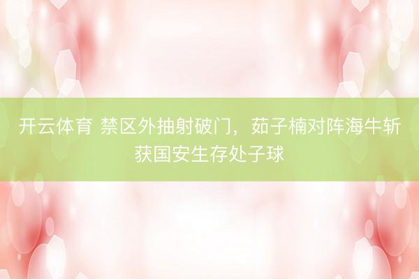 开云体育 禁区外抽射破门，茹子楠对阵海牛斩获国安生存处子球